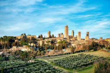 Siena and San Gimignano private tour with Cathedral tickets and lunch